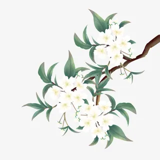 梨花枝条免扣元素梨花免抠 梨花枝条免扣元素梨花免抠