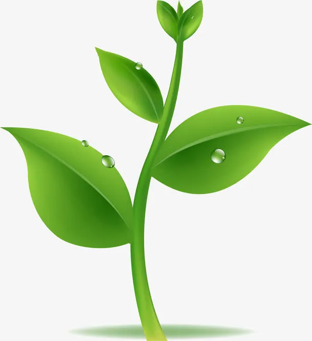 绿色的小树苗免抠