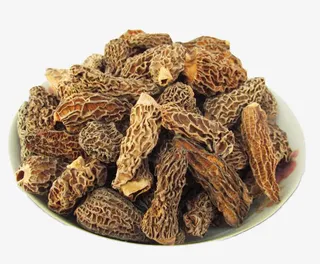 野生羊肚菌免抠