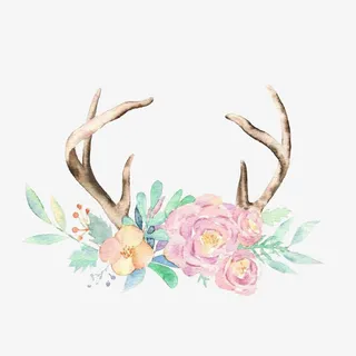 小清新粉色牡丹花与鹿角装饰素材免抠