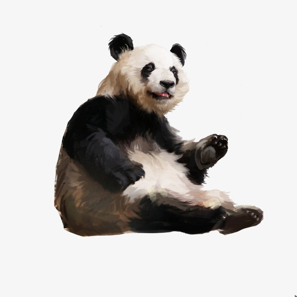 熊猫  动物 卡通 手绘 插画 可爱免抠