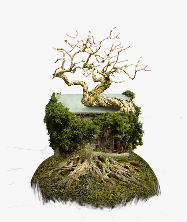 安静的树屋免抠