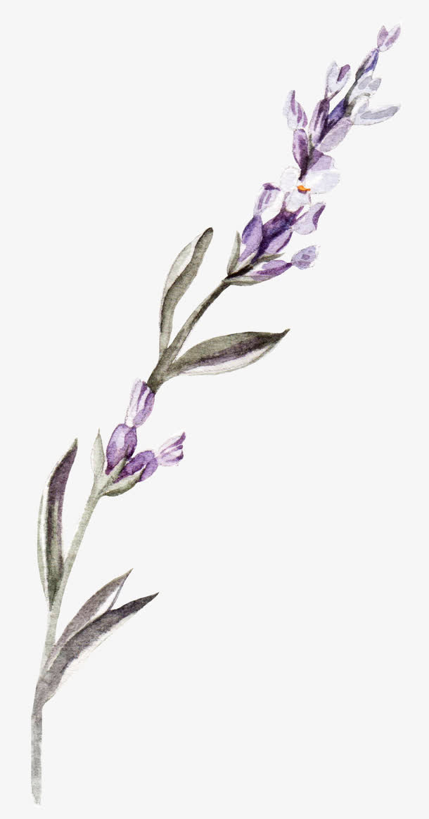 手绘小清新花朵免抠