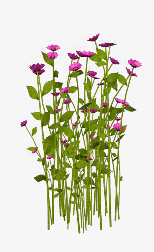 花朵紫色PNG素材免抠