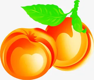 手绘黄红色夏季水果绿叶免抠