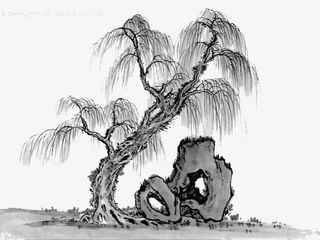 手绘水墨中国风柳树免抠