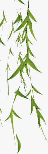 柳条免抠