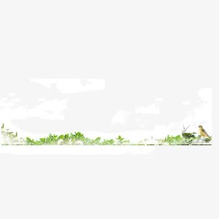 草地 小鸟 绿色 春天 背景装饰