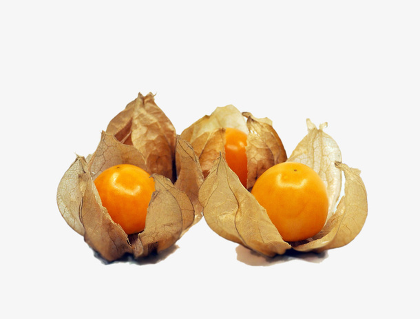高清灯笼果免抠