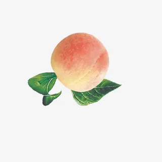 生鲜桃子免抠 生鲜桃子免抠