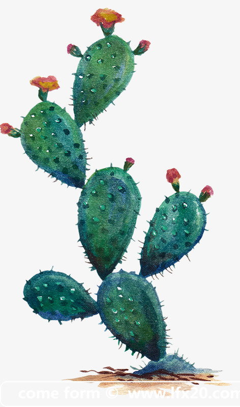 绿色植物仙人掌开花2免抠