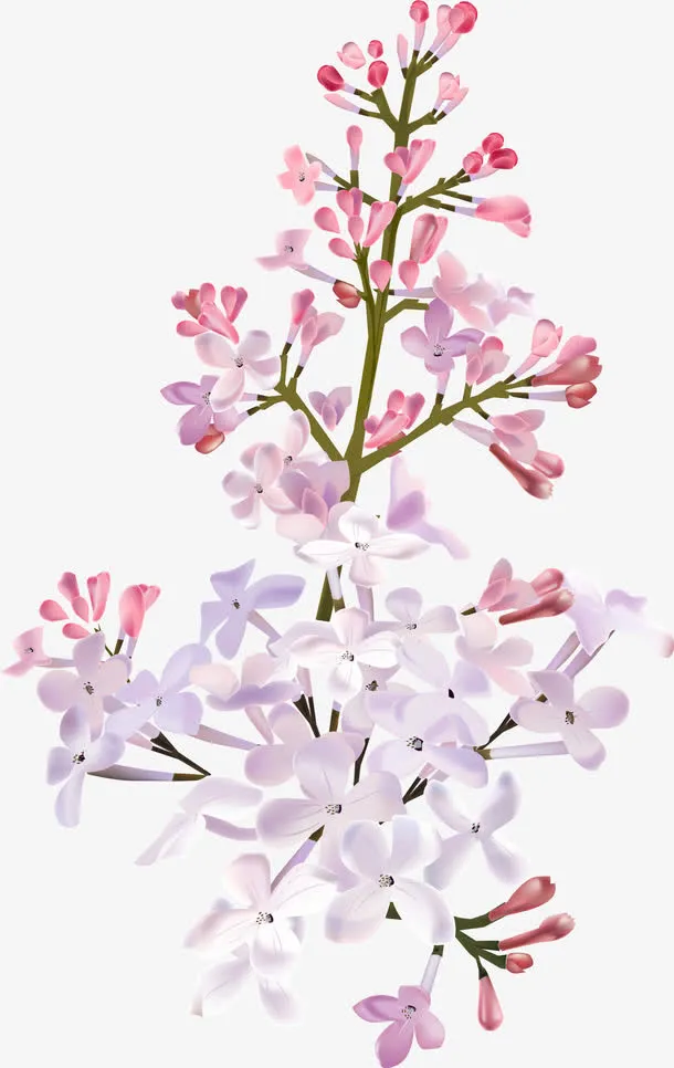 手绘紫色夏季丁香花免抠