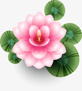 荷花灯莲花灯荷叶免抠