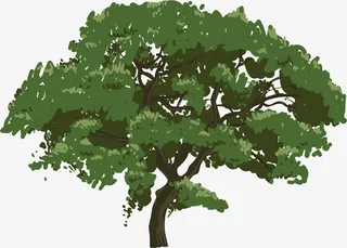 绿油油的春天大树免抠