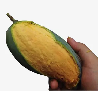 撕开皮的芒果免抠