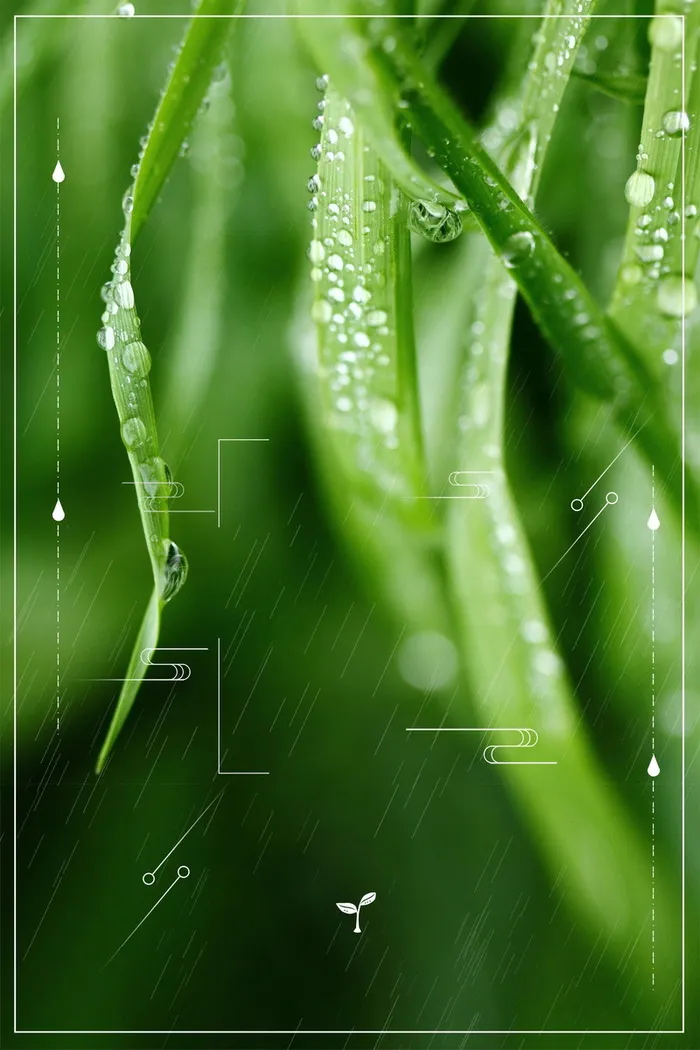 传统二十四节气雨水海报背景高清