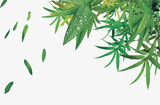 露珠绿叶竹子竹叶漂浮小清新端午节免抠