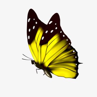 手绘彩色飞翔蝴蝶免抠