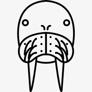 海象图标免抠 海象图标免抠