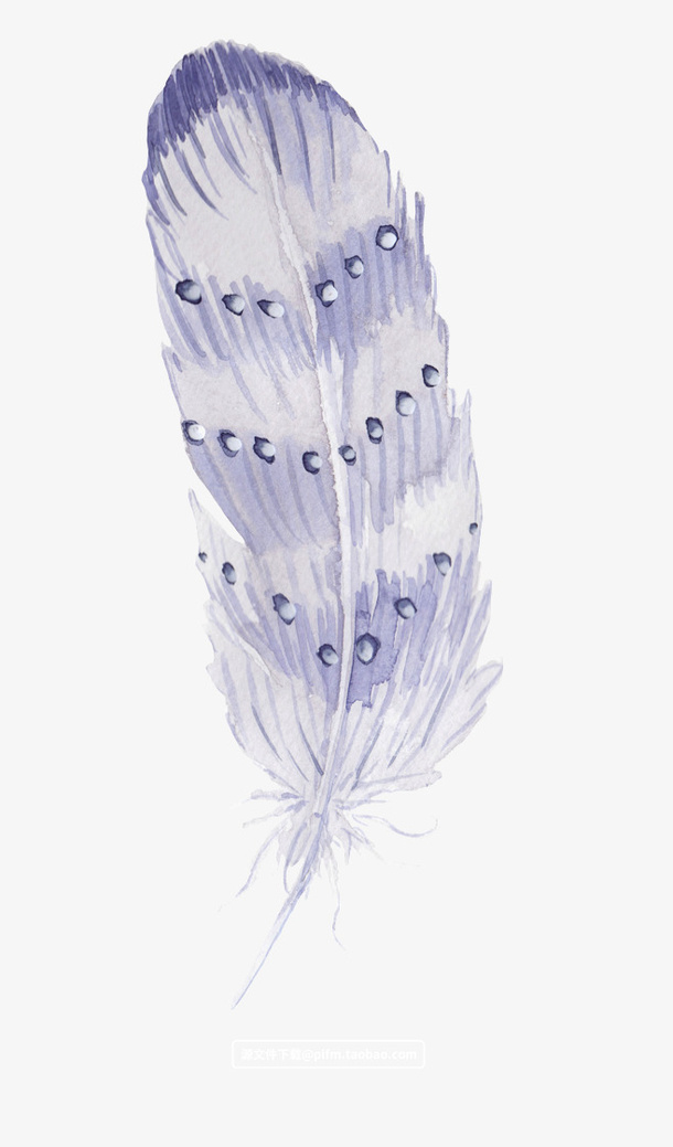 浪漫 羽毛 插画 淡紫色免抠