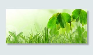 摄影青草草地背景高清