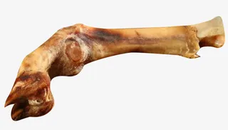 犬类食物羊蹄骨免抠