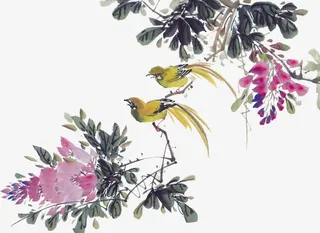 树枝上的动物高清免扣素材免抠