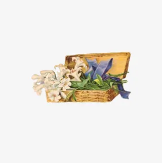 木盒装的风信子免抠