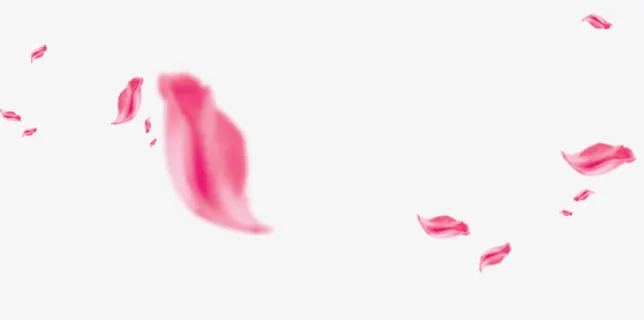 飘动的花瓣免抠