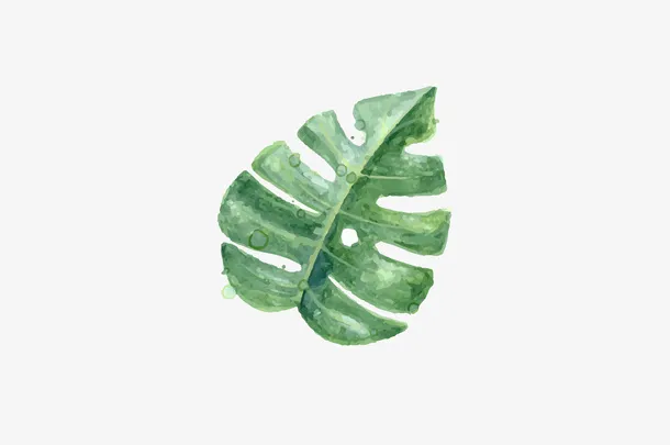 isn手绘叶子免抠