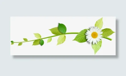 春天环保花朵绿叶免抠