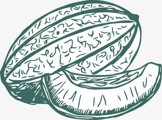 哈密瓜矢量图免抠