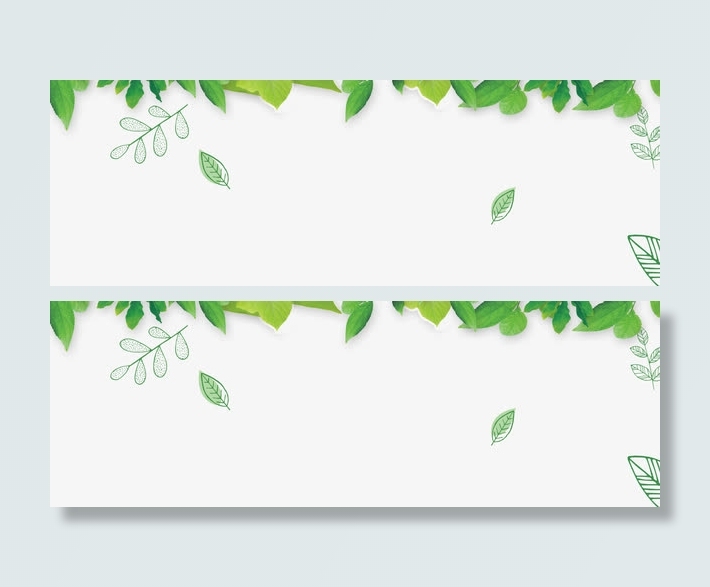 小清新树叶背景装饰