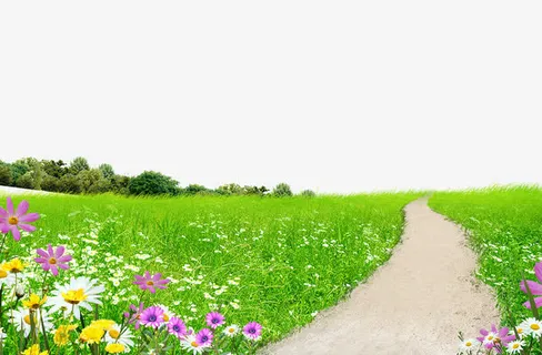 草地小路免抠