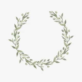 一个水彩淡绿色橄榄枝花环插画设免抠