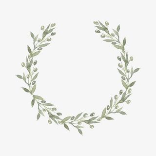 一个水彩淡绿色橄榄枝花环插画设免抠