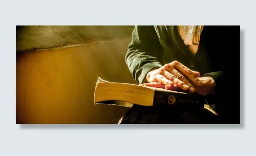 摄影黄昏下的老婆婆拿着书坐下高清