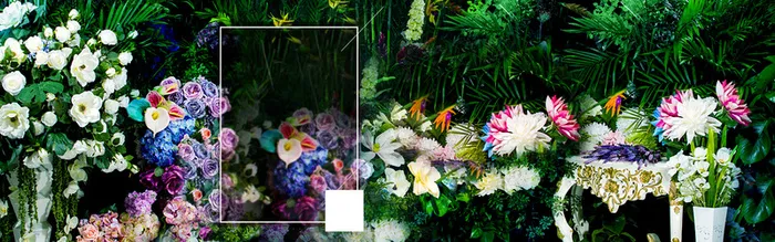 植物背景海报素材高清