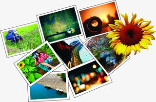 春天踏青风景插图免抠