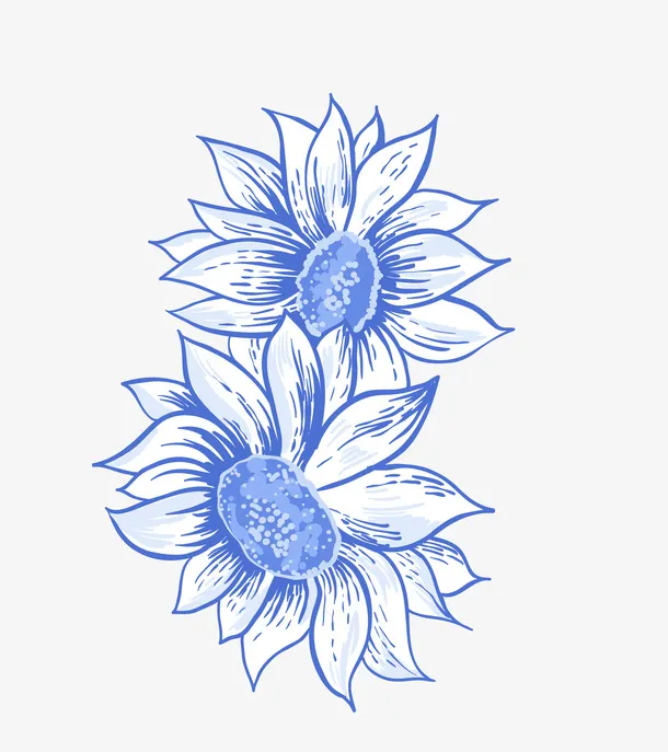 手绘蓝色花朵向日葵花免抠