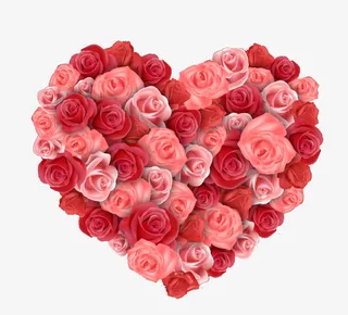 精美玫瑰组合爱心矢量素材免抠