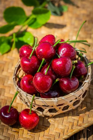 新鲜 樱桃 车厘子高清