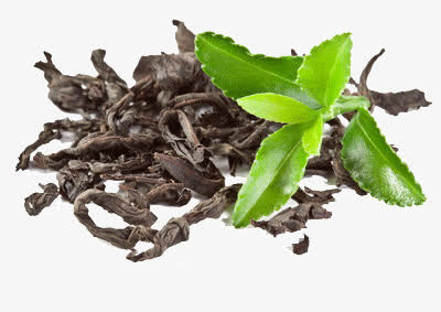 茶叶免抠