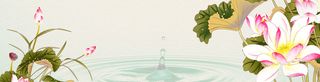 荷花海报banner背景高清