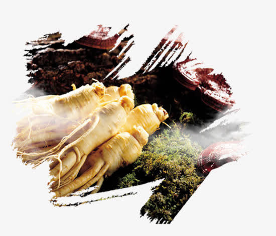 h5素材长白山人参免抠