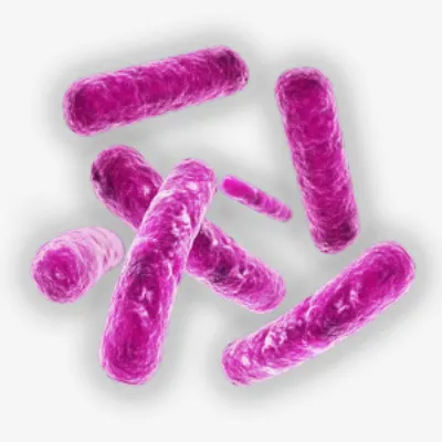 细菌病毒卡通手绘免抠