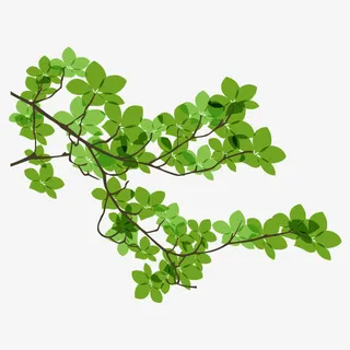 树枝 干树枝免抠