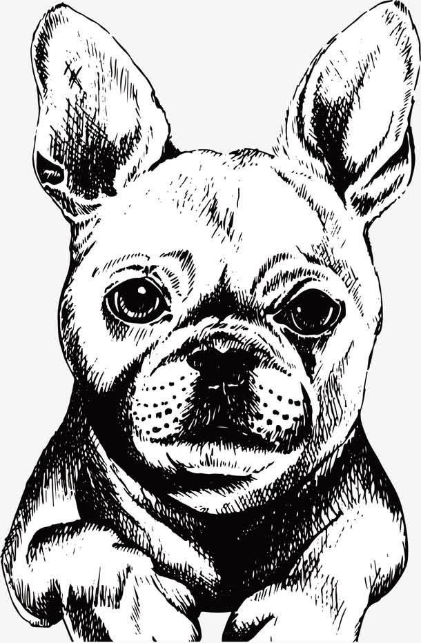 创意小型犬免抠