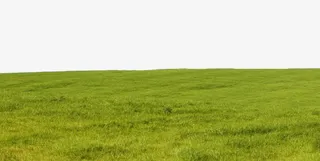 夏日草地风景图片六免抠