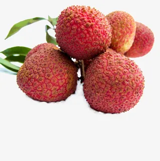 荔枝的果实免抠